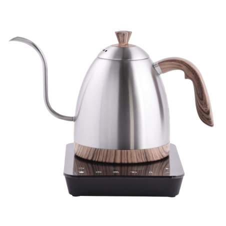 Electric Kettle with Temperature Support